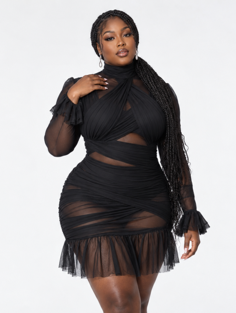 Sheer Ruffle Bodycon Dress