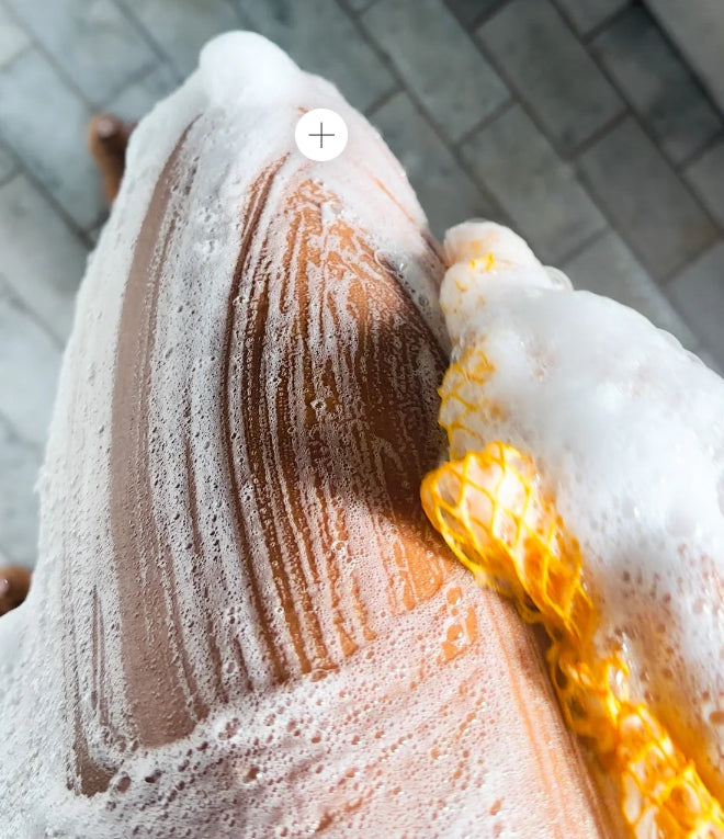 Afrikanischer Netzschwamm