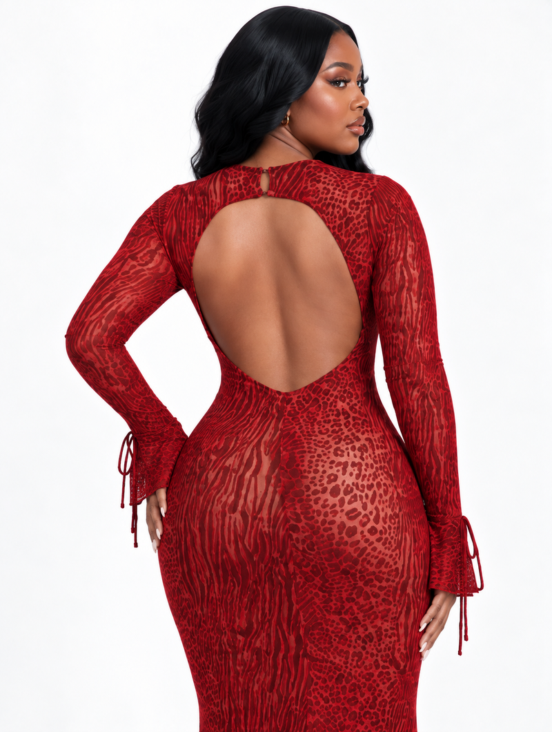 Scarlet Leopard Mesh Dress
