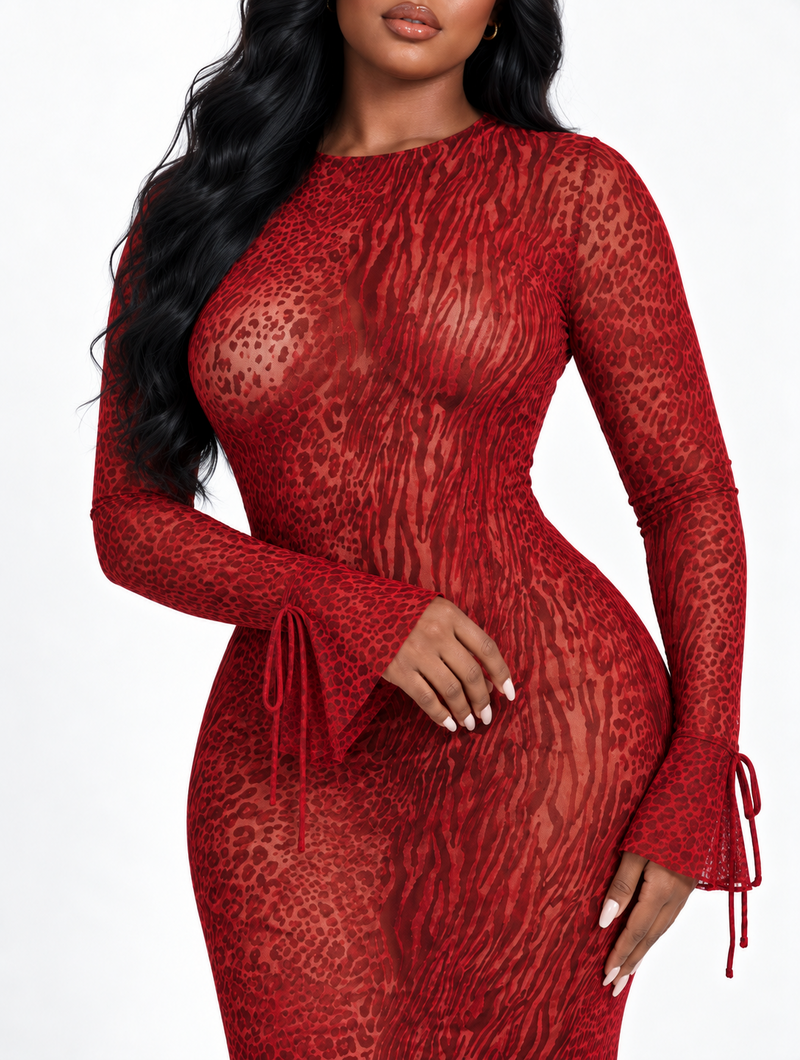 Scarlet Leopard Mesh Dress