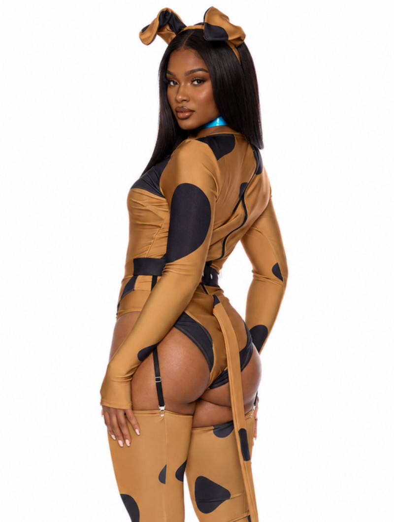 Wild Cowgirl Costume