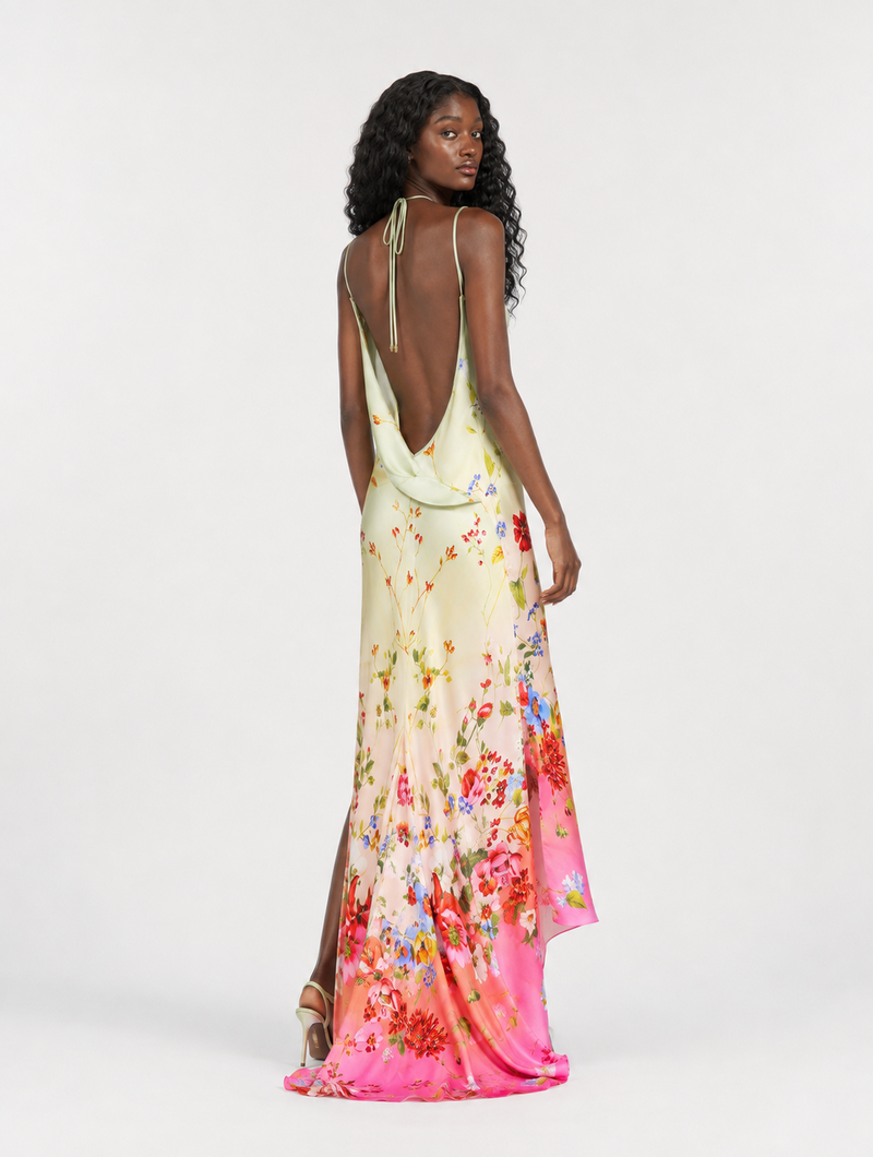 Backless Ombre Floral Dress