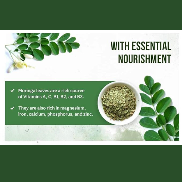 Moringa Tea Leaves Herbal Tea