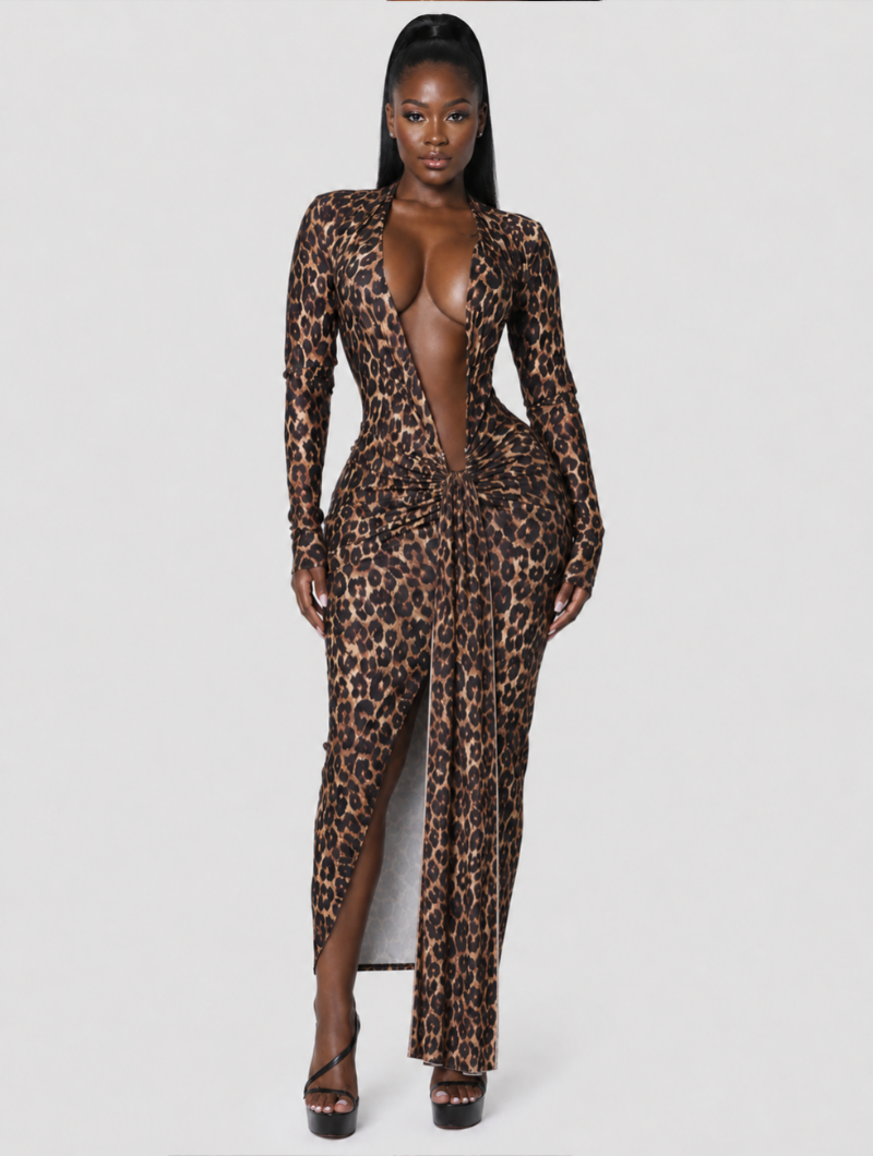 Leopard After Dark Dress