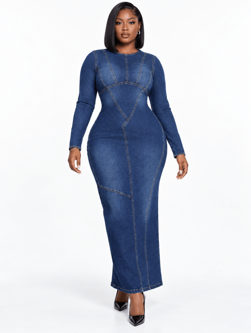 Contour Stitch Denim Dress