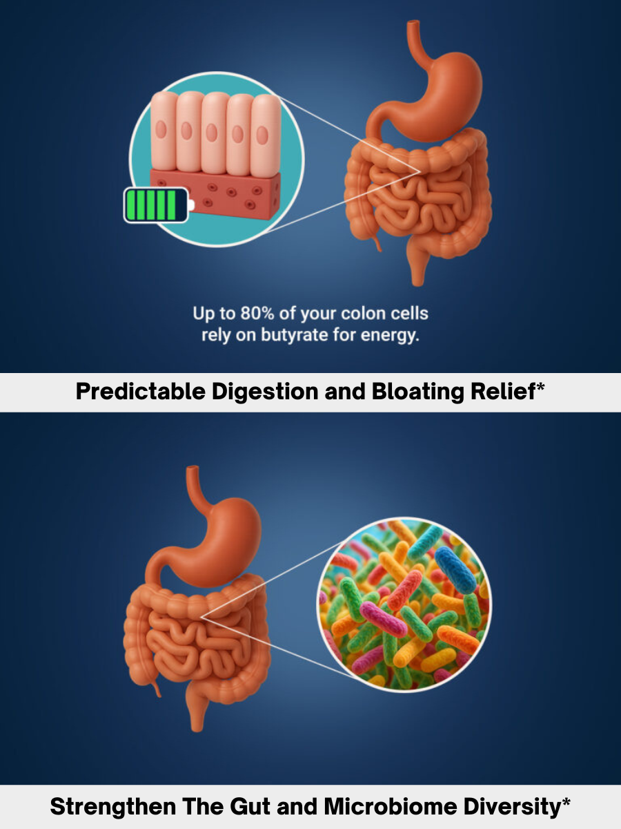 Daily Gut Reset