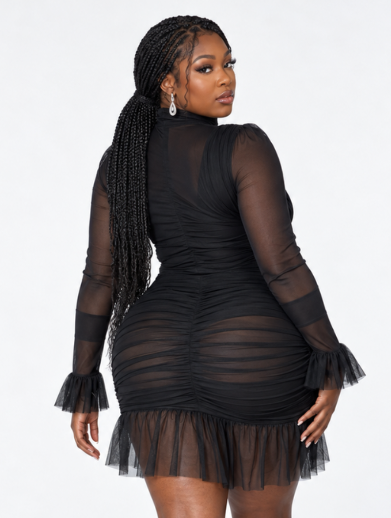 Sheer Ruffle Bodycon Dress