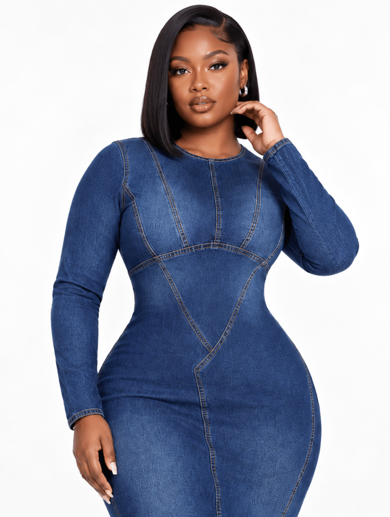 Contour Stitch Denim Dress