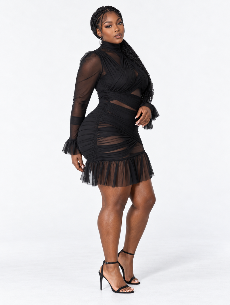 Sheer Ruffle Bodycon Dress