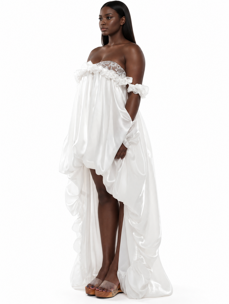 Swan Lake Ruffle Dress