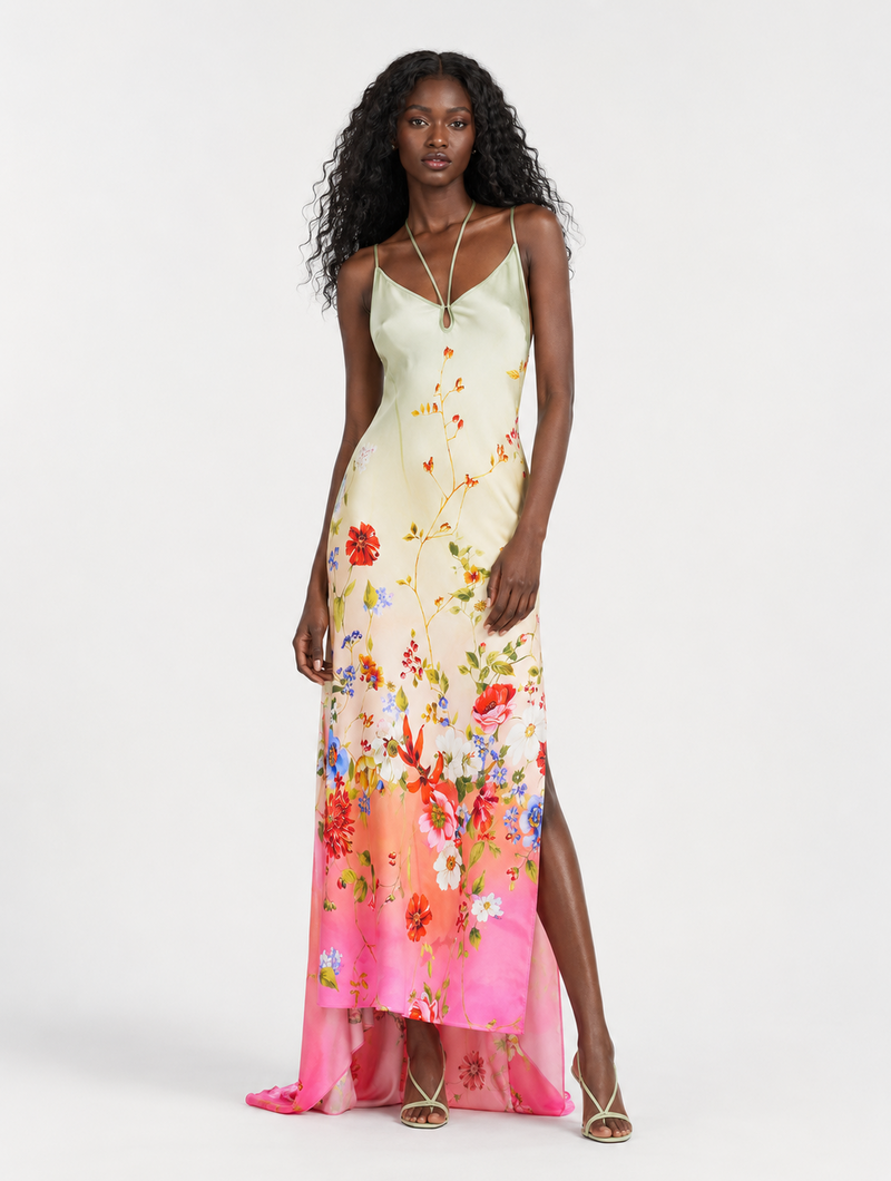 Backless Ombre Floral Dress