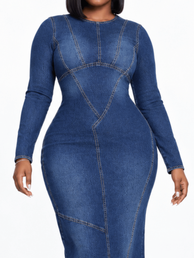 Contour Stitch Denim Dress