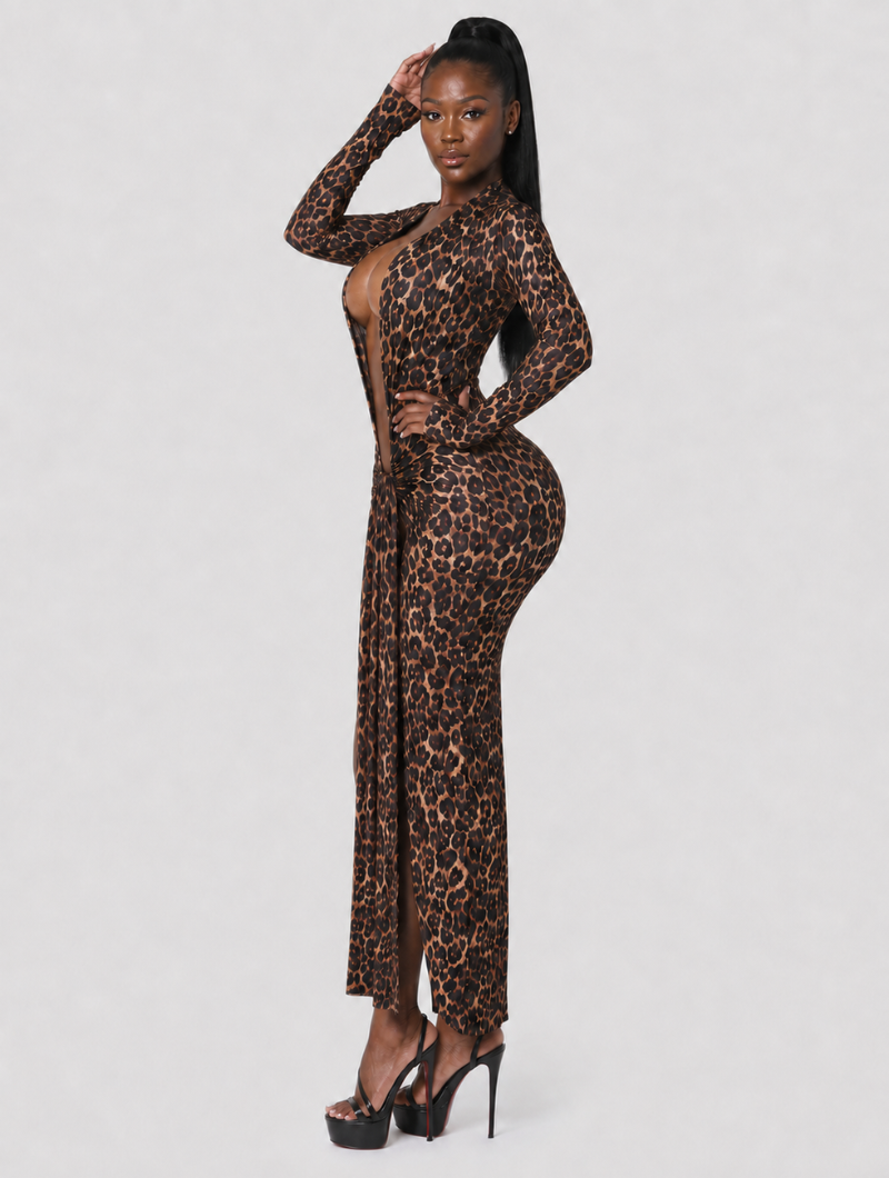 Leopard After Dark Dress