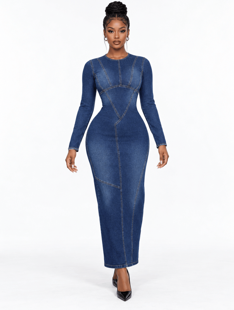 Contour Stitch Denim Dress