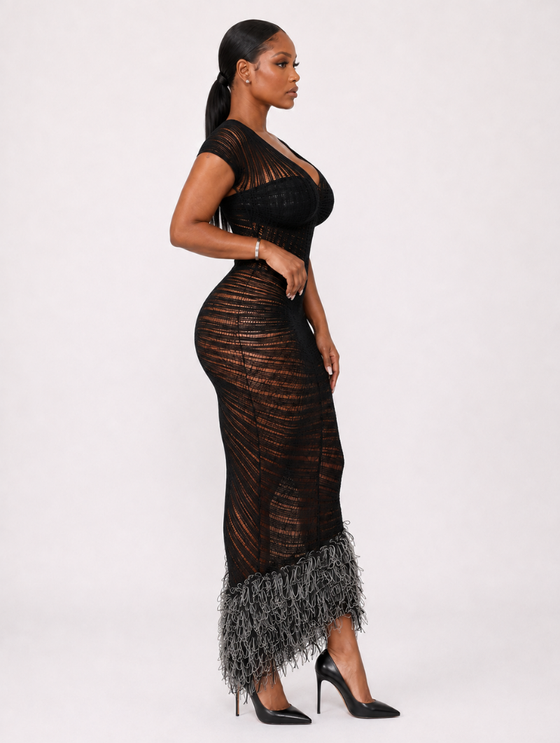 Black Swan Feather Gown