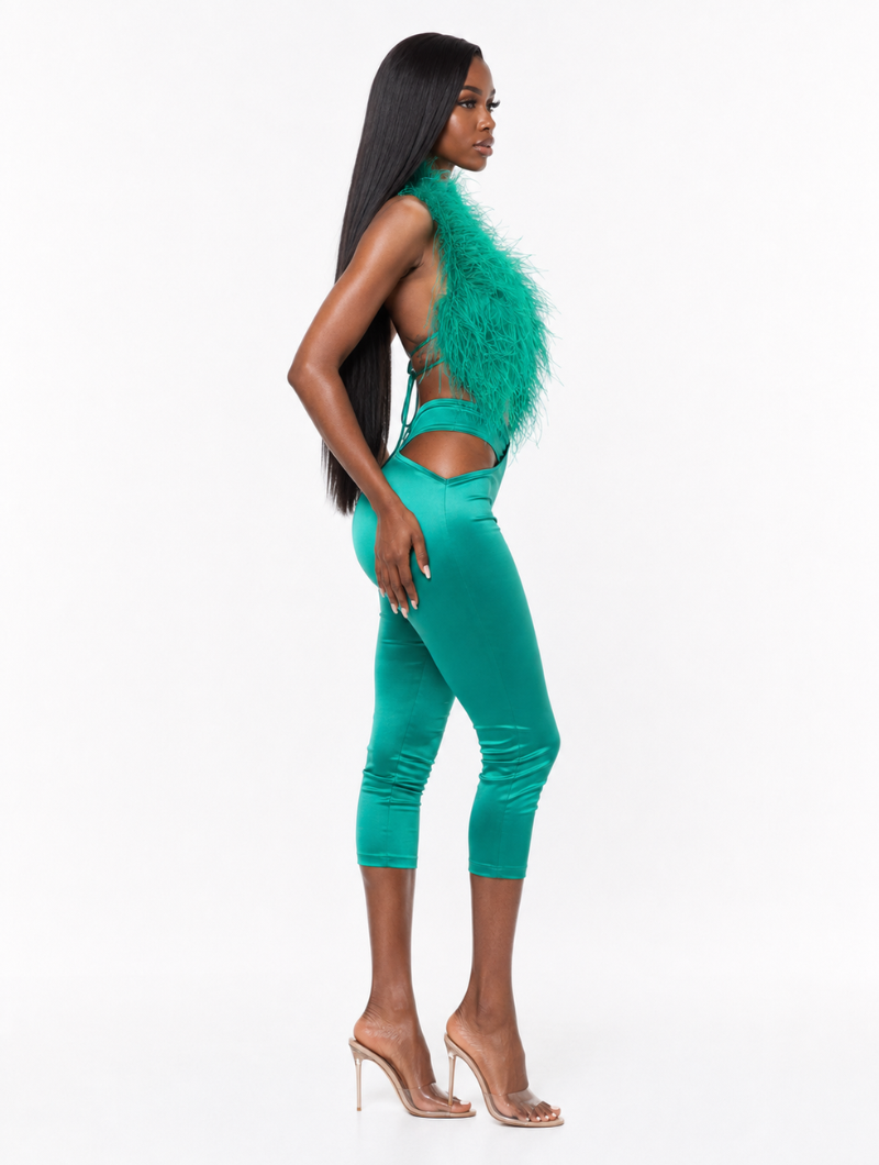 Feather Curve Set